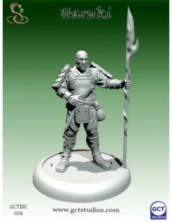 Bushido - Haruki (fr)