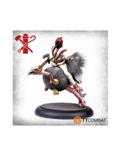 Carnevale - Ostrich Racing?!