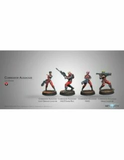 Infinity - Corregidor Alguaciles