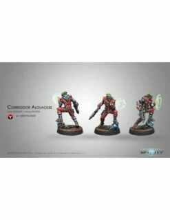 Infinity - Corregidor Alguaciles (hacker)