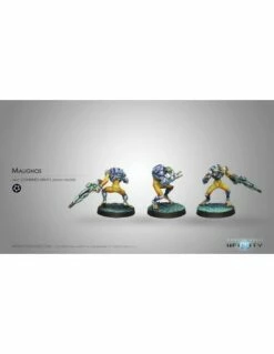 Infinity - Malignos (hacker)