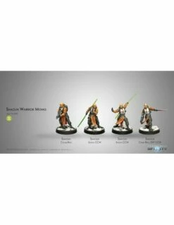 Infinity - Shaolin Warrior Monks