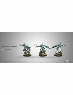 Infinity - Svalarheima Nisses (hacker)