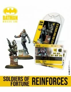 Soldiers Of Fortune Reinforces
